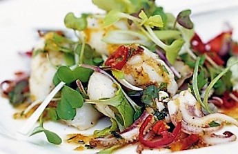 insalata con calamaretti